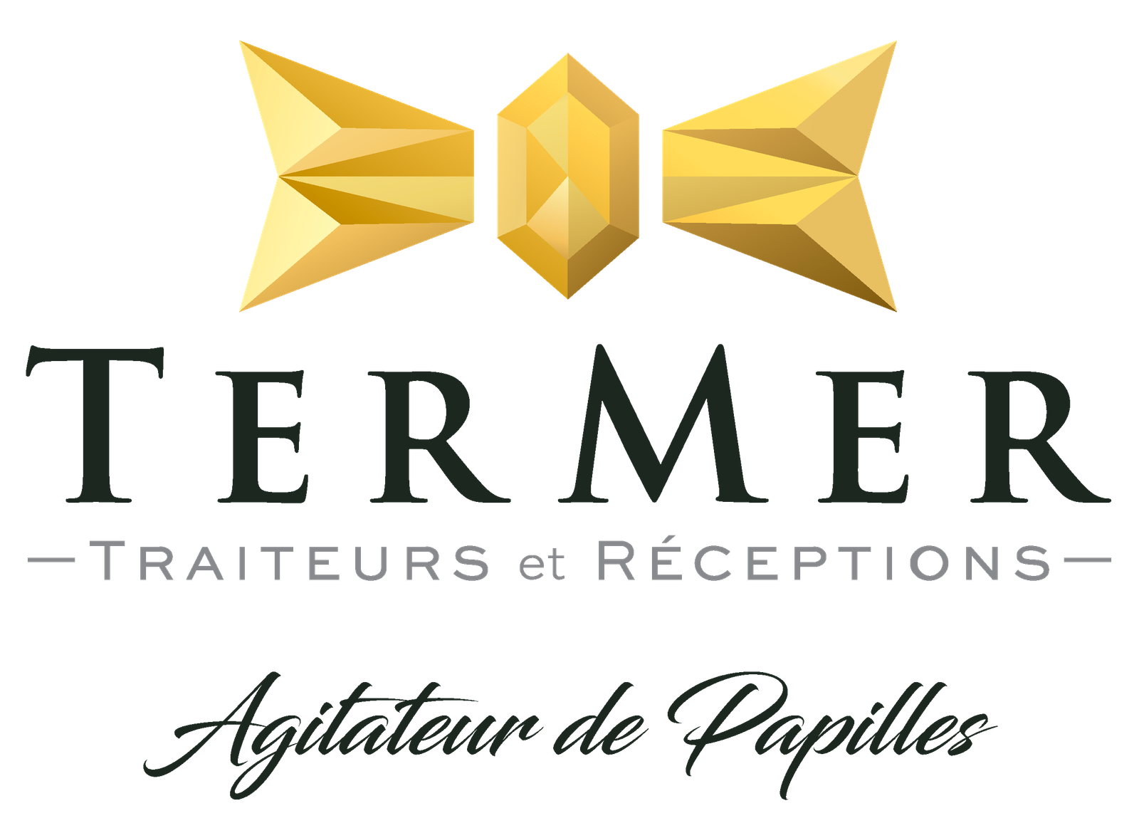 Logo-TERMER-noire-sans-fond